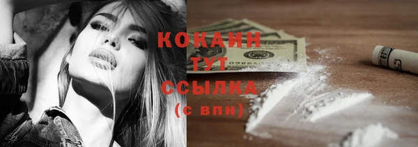 хмурый Михайловск