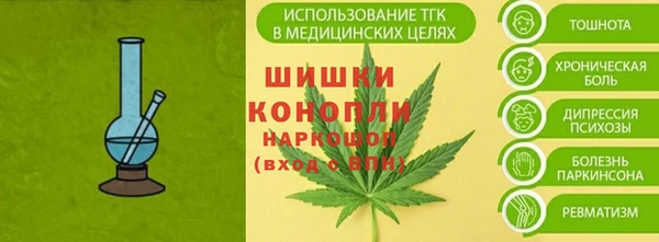хмурый Михайловск