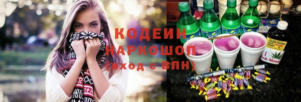 хмурый Михайловск