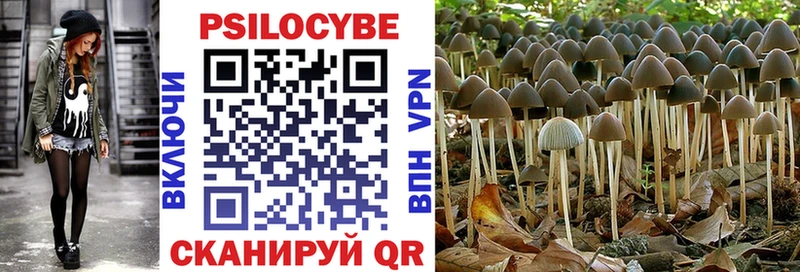 Псилоцибиновые грибы Psilocybine cubensis  сколько стоит  Яблоновский 